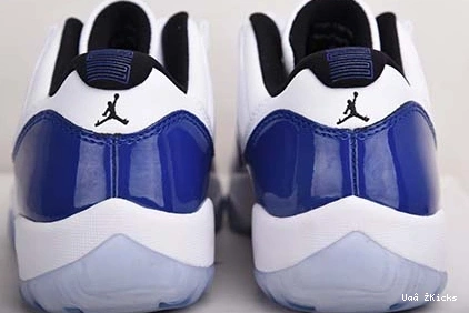 Air “Concord” Comfortable AH7860- 11 6039 WMNS Jordan Low 742 0813